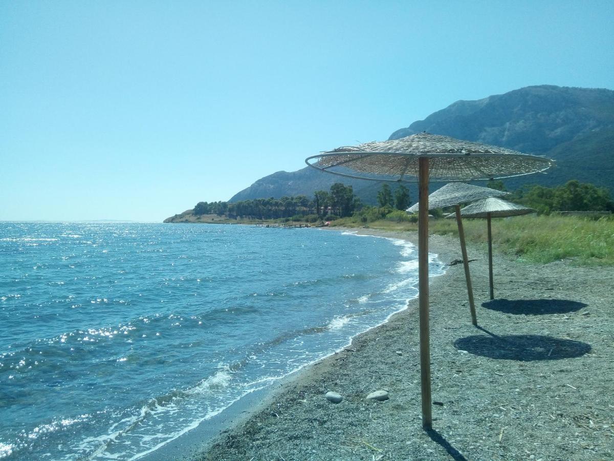 Villa The Platanus Tree Kato Vasiliki Exterior photo