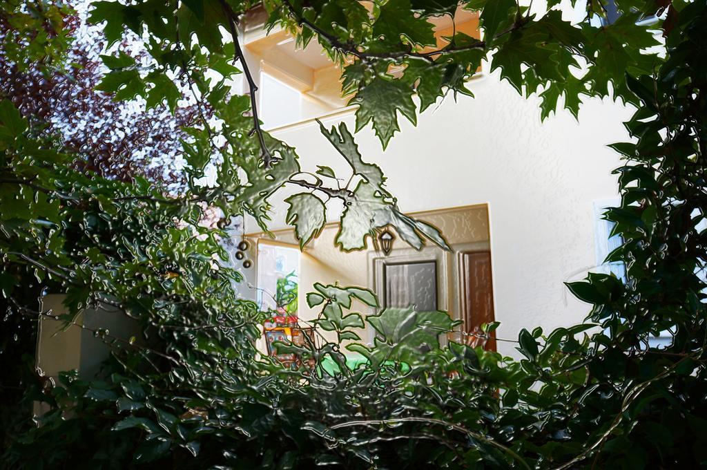 Villa The Platanus Tree Kato Vasiliki Exterior photo
